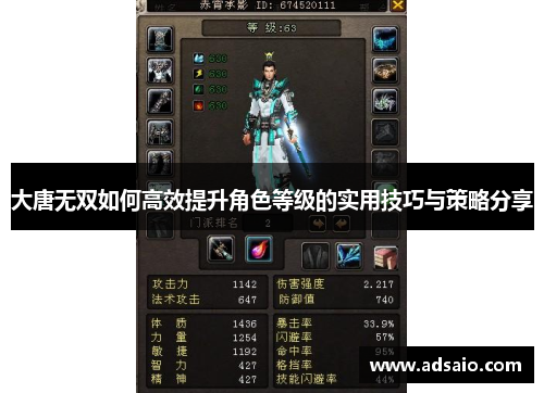 大唐无双如何高效提升角色等级的实用技巧与策略分享